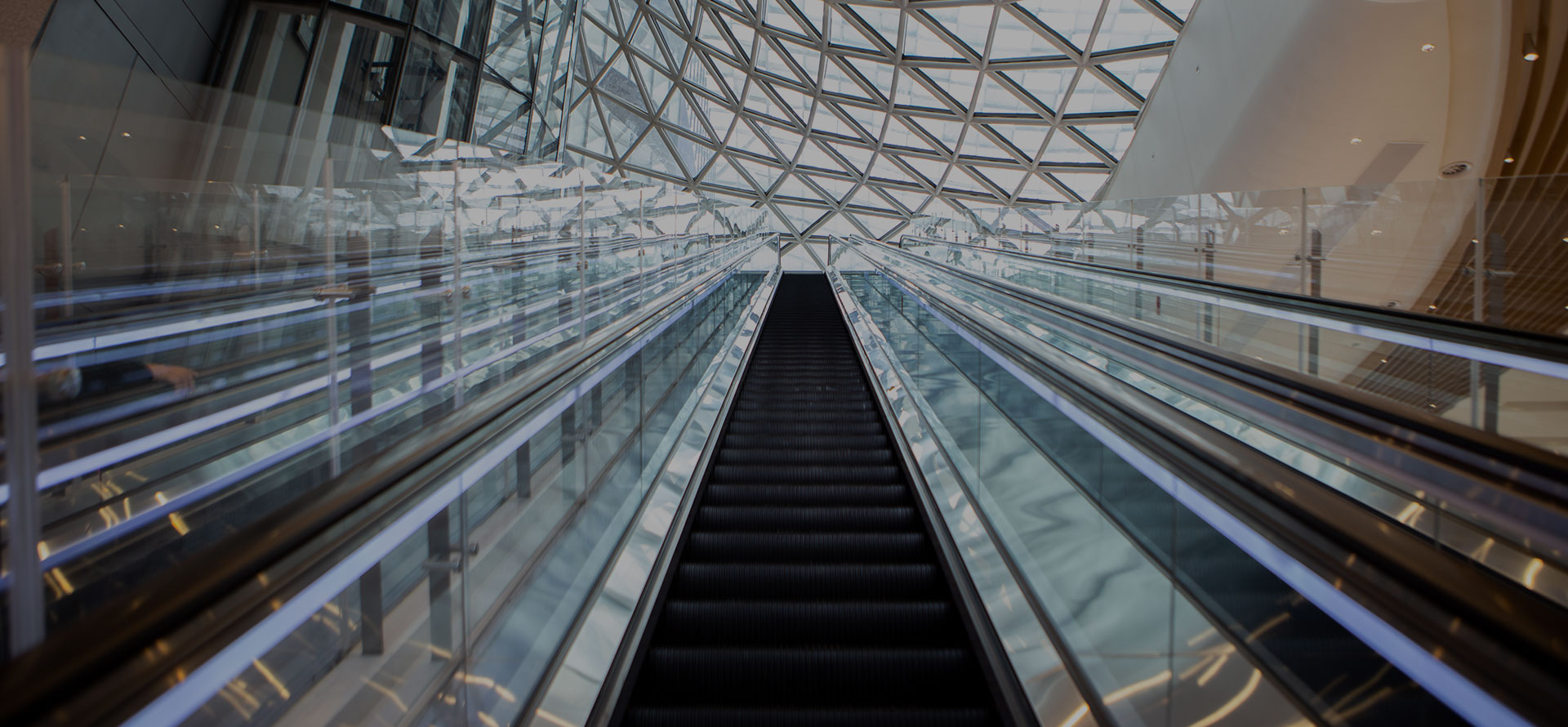 73881e90626badf23831787b8cceb8eb